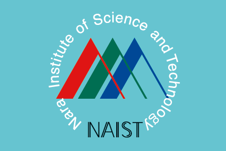 NAIST Flag
