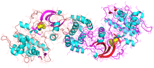 複雑な構造をしたタンパク質のCG画像。構造を詳細に調べ、その働きを解き明かす研究が進められている