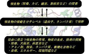 高木研究室