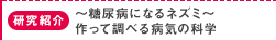 研究紹介：～糖尿病になるネズミ～ 作って調べる病気の科学