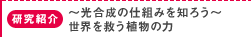 研究紹介：～光合成の仕組みを知ろう～ 世界を救う植物の力