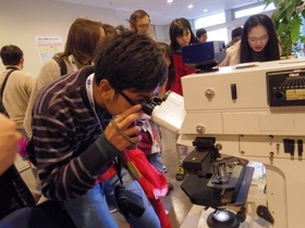 Viewing cancer cells through an electron microscope