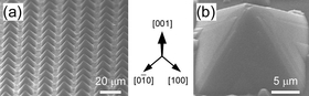 (a) Wide and (b) magnified images of the fabricated Si pyramids. Four slopes correspond to Si{111} facet surfaces.