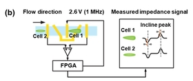 The principle of the proposed method. A wave formed when a micro object passing through a tiny channel with electrodes. The wave obtains tilt which is correlated to the shape of micro objects.