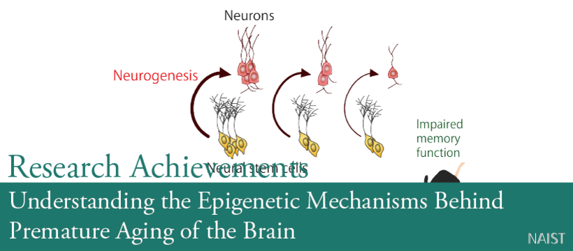 Understanding the Epigenetic Mechanisms Behind Premature Aging of the Brain