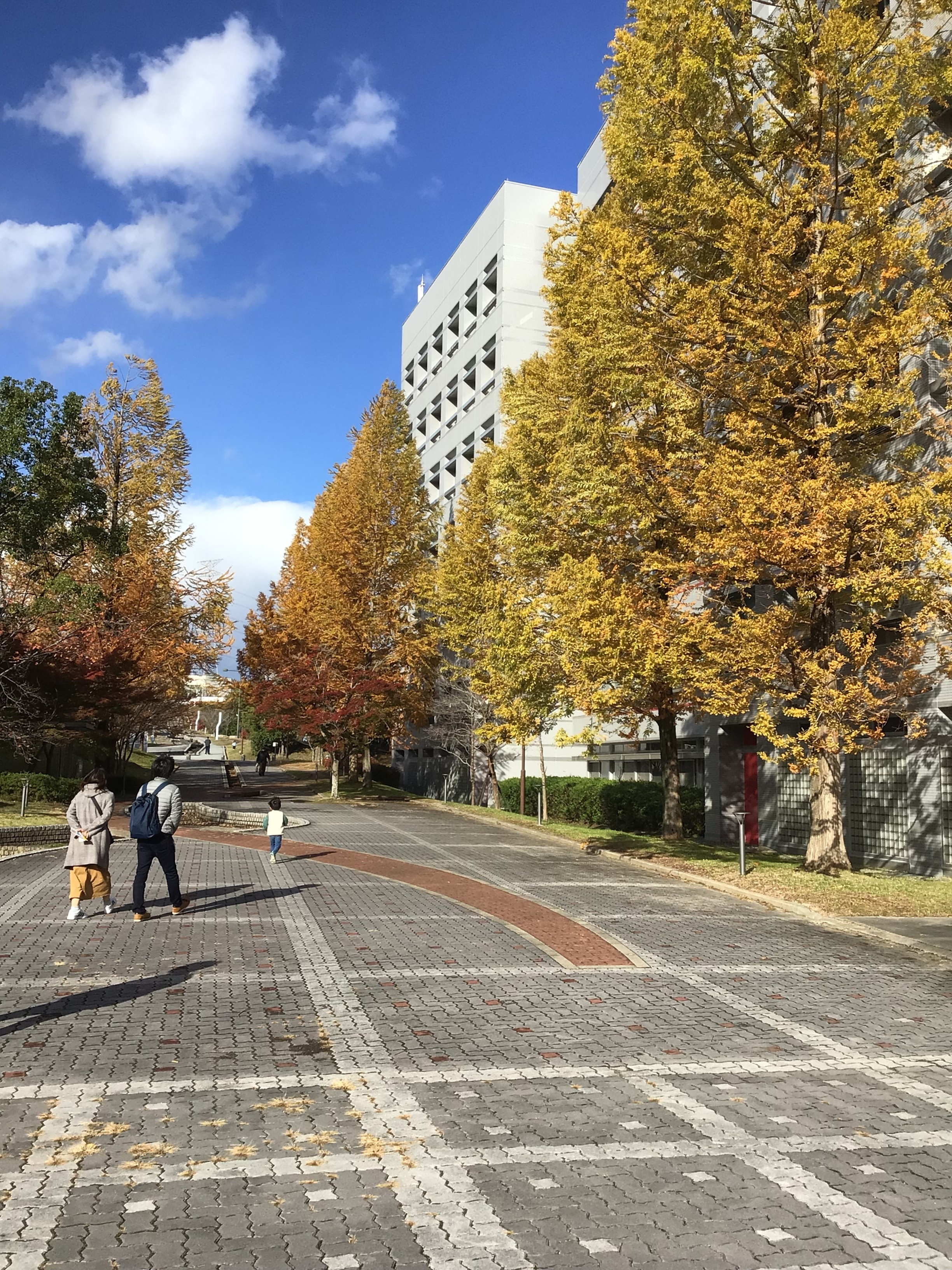 NAIST EXPO 2023 11118の学内風景