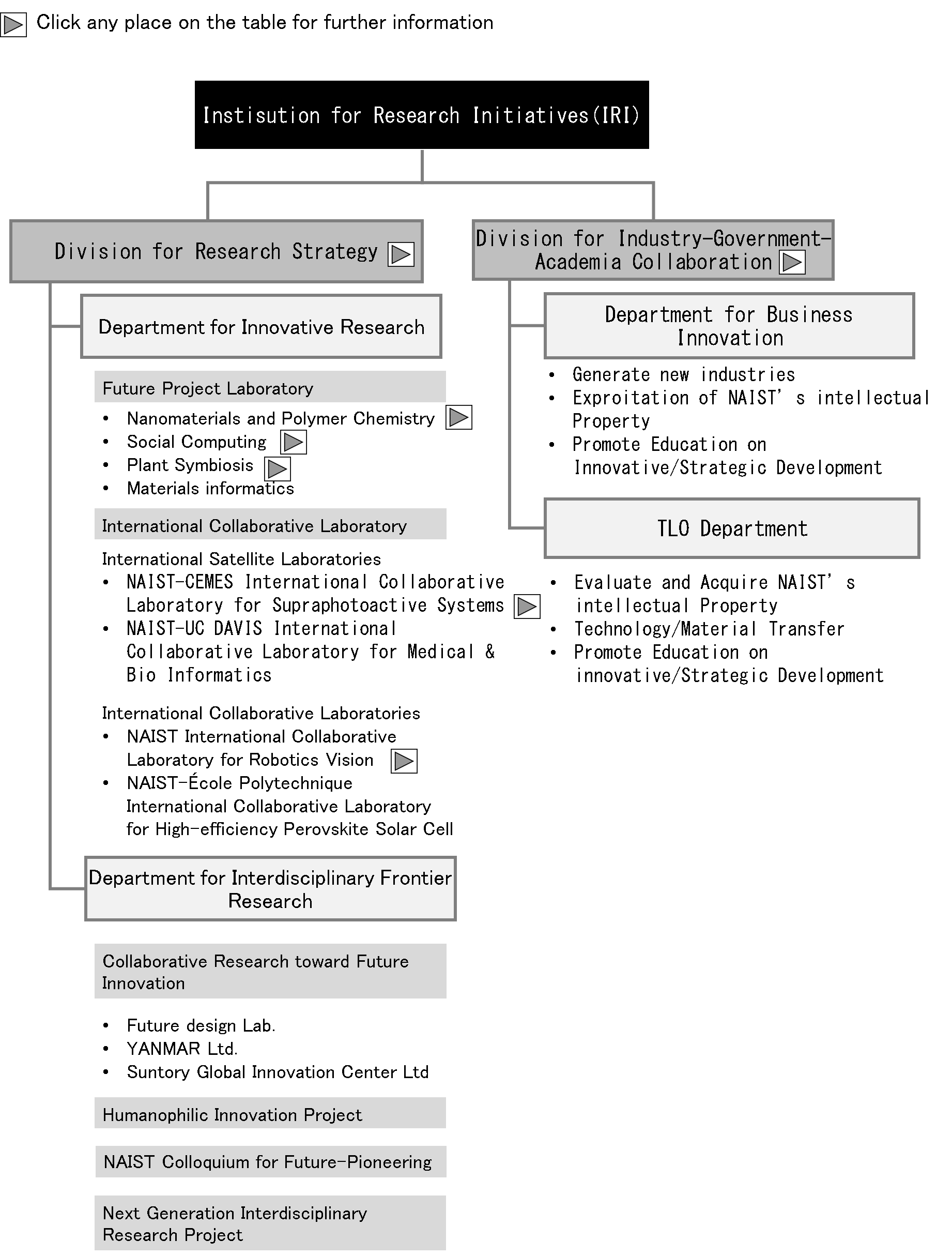 Structure of Institute for Research Initiatives
