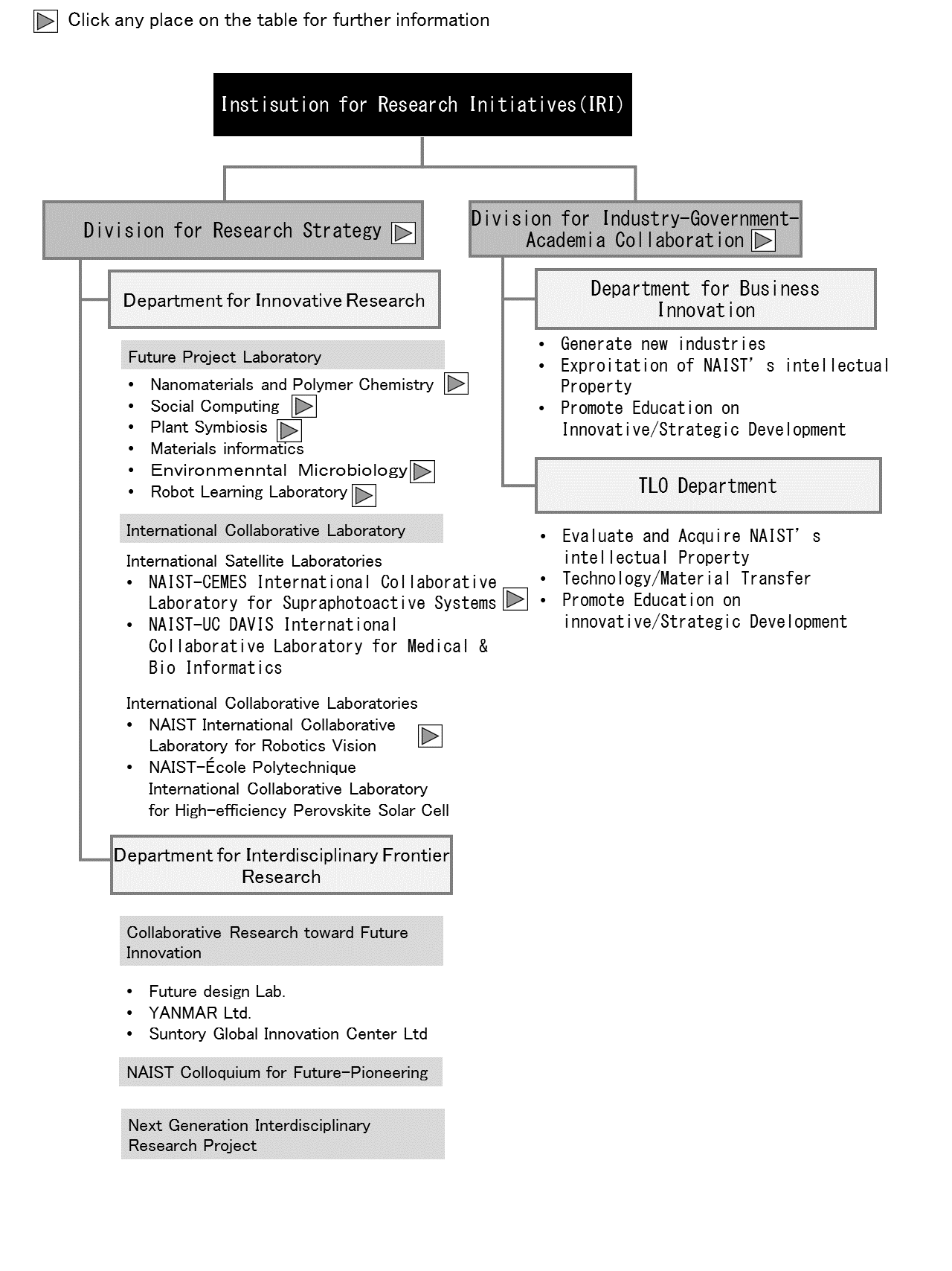 Structure of Institute for Research Initiatives