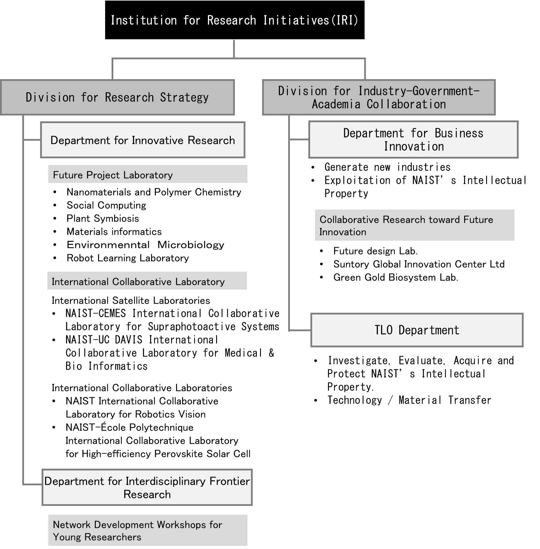 Structure of Institute for Research Initiatives