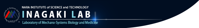 Laboratory of Systems Neurobiology and Medicine