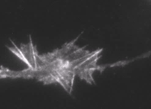 Fig.6