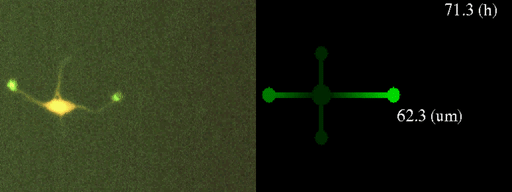 Fig.9