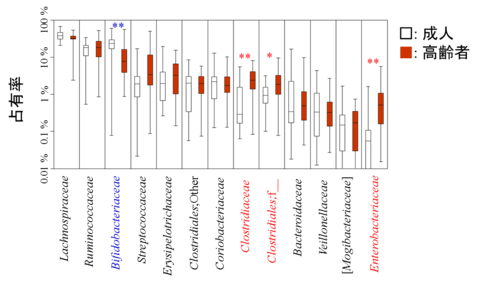 〔プレスリリース〕IgAの腸内細菌に対する反応性の低下が加齢に伴う腸内菌叢の変動に関係