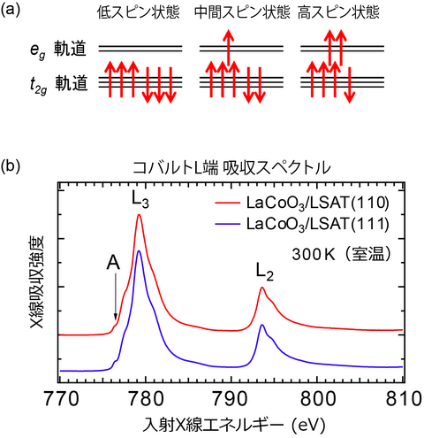 〔プレスリリース〕バルク結晶と薄膜結晶で異なるスピン状態を直接観測 スピン状態の判別に有効な計測手法を確立