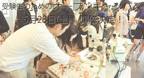 受験生のためのオープンキャンパス2011年5月28日(土)開催決定
