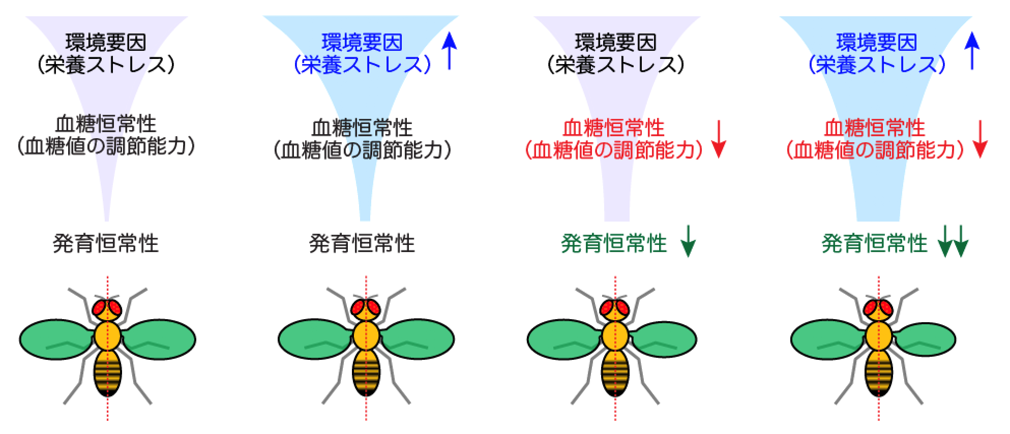 図