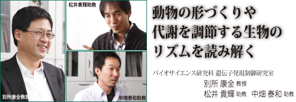 別所康全教授、松井貴輝助教、中畑泰和助教