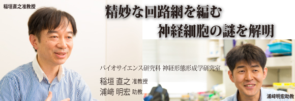 稲垣直之准教授、浦﨑明宏助教