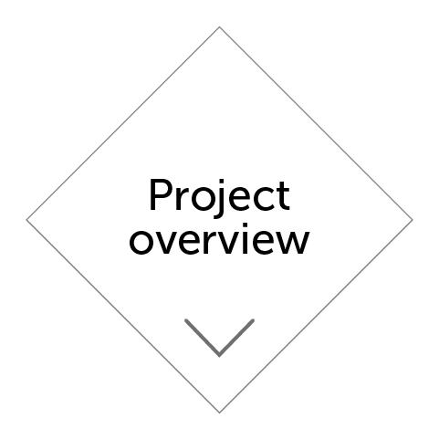 Project overview