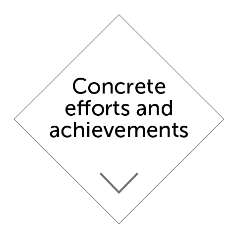 Concrete efforts and achievements