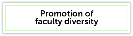 Promotion of Faculty Diversity