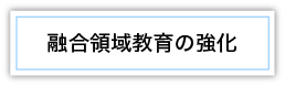 融合領域教育の強化