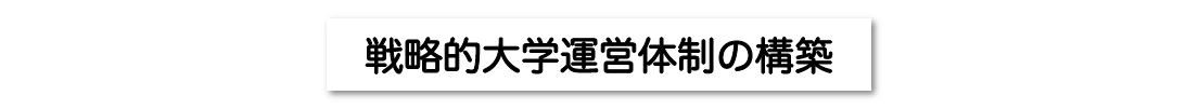 戦略的大学運営体制の構築