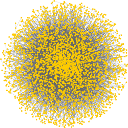 大腸菌のタンパク質同士のつながりを表した図。点がタンパク質、線が結合を示す。タンパク質は想像を超える大きなネットワークを作って生命現象を引き起こす