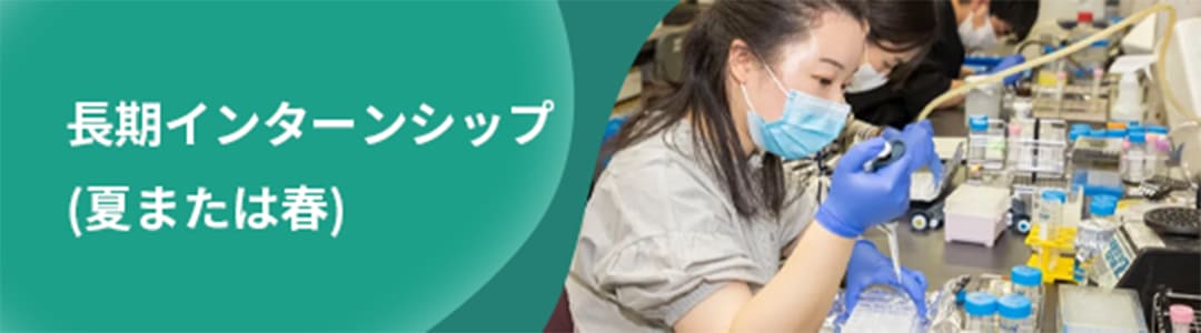 長期インターンシップ（夏または春）