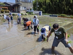 Takayama Rice Planting & Matcha Tea Event (June 4, 2022)