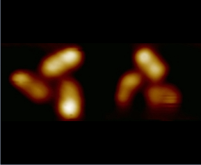 A 2 nm sized nanomachine able to spin and transfer its rotational energy