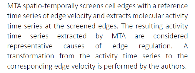 Miracle math determines the dynamically coordinated regulation of edge velocity by Rho GTPases
