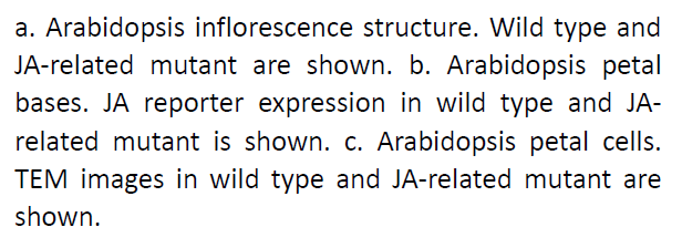 Understanding jasmonic acid: A switch that activates autophagy in Arabidopsis petals