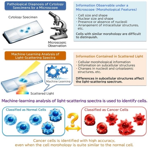 A machine learning system that identifies cancer cells based on how they scatter light