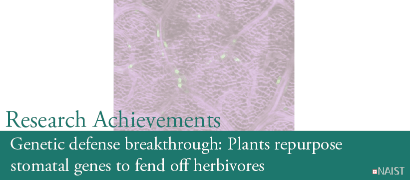 Genetic defense breakthrough: Plants repurpose stomatal genes to fend off herbivores