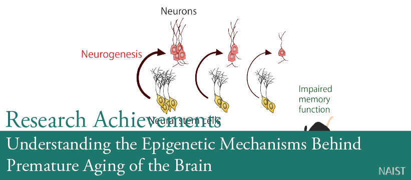 Understanding the Epigenetic Mechanisms Behind Premature Aging of the Brain