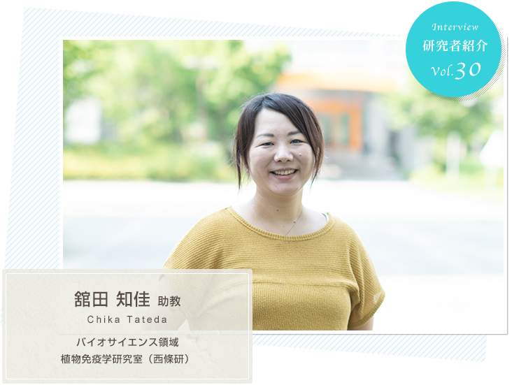 Introduction of Researchers vol.30 Laboratory of Plant Immunity, Biological Science Field (Saijo Laboratory), Assistant Professor Chika TATEDA