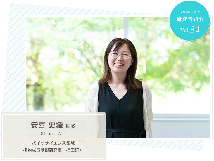 Introduction of Researchers　vol.31 Laboratory of Plant Growth Regulation, Division of Biological Science (Umeda Lab.), Assistant Professor Shiori AKI