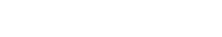 Nara Institute of Science and Technology