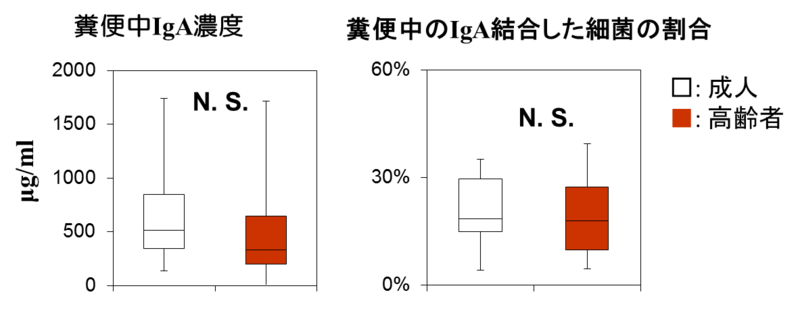 〔プレスリリース〕IgAの腸内細菌に対する反応性の低下が加齢に伴う腸内菌叢の変動に関係