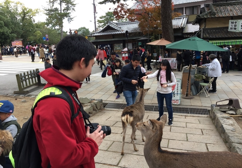 学生の文化活動行事を実施〜東大寺・春日大社・奈良国立博物館ツアー〜(2017/11/26)