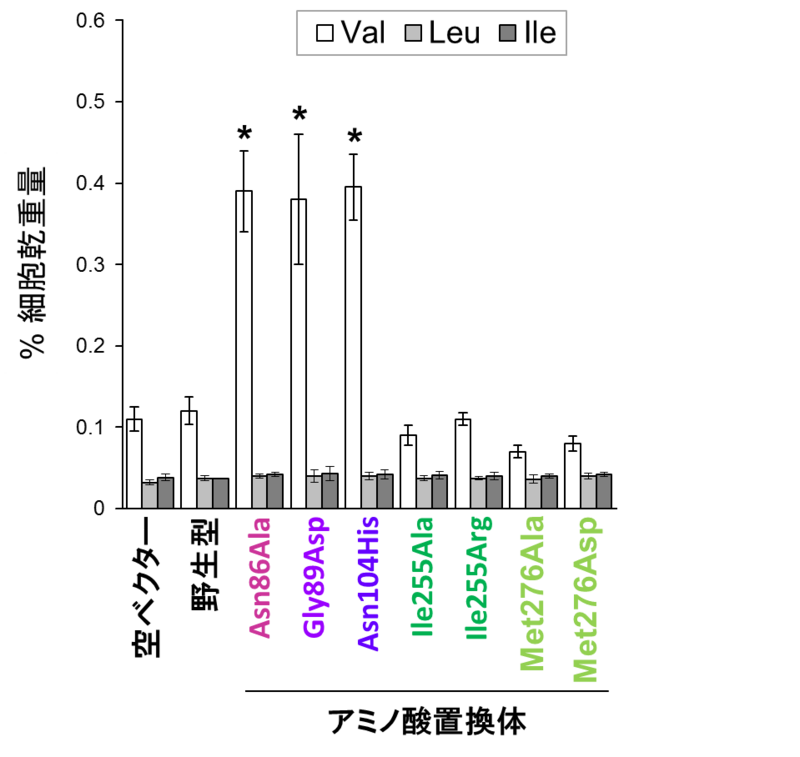 〔プレスリリース〕酵母による必須アミノ酸「バリン」の高生産に成功 合成酵素の制御機構を解除して実現 ～バイオ燃料「イソブタノール」生産にも期待～