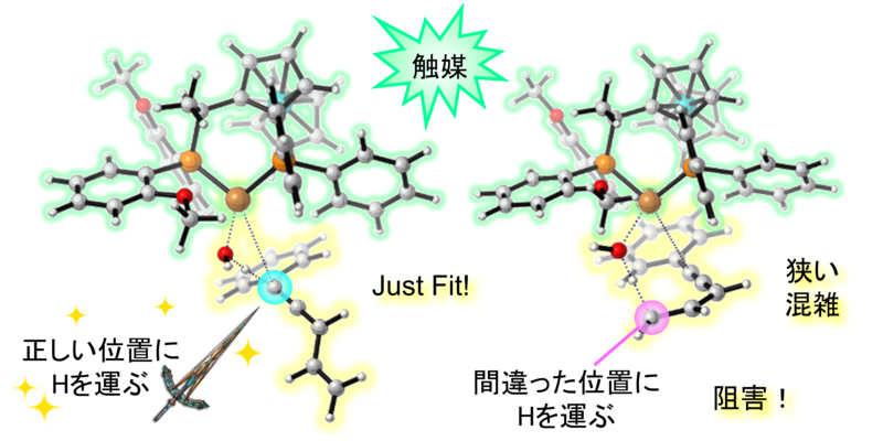 〔プレスリリース〕触媒で分子をチューンアップ ～炭化水素の結合を組み換えて付加価値を高める不斉触媒～