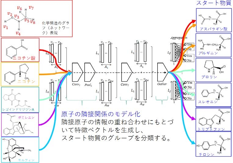 〔プレスリリース〕化学構造を手掛かりにしたデータサイエンスの手法で、 天然物化合物の生合成経路の予測に成功! 有機分子の特性や薬剤設計の研究への活用期待
