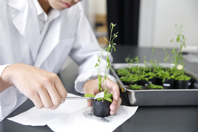 SSHラボステイを実施(2019/8/1~8/30)