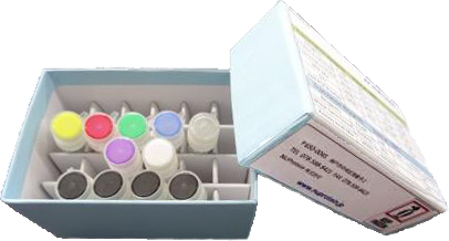 【製品化】デジタルグリーンイノベーションセンター 加藤晃教授の研究成果の製品化（無細胞タンパク質合成試薬）（2021/6/14）