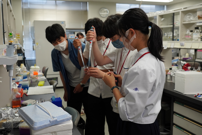 SSHラボステイを実施（2022/8/1～8/12）