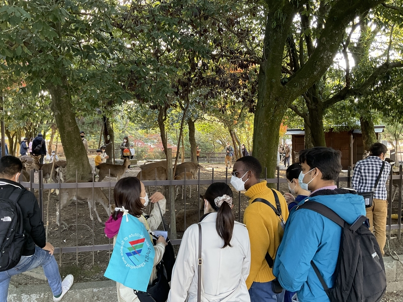 奈良公園ツアーを実施（2022/11/27）
