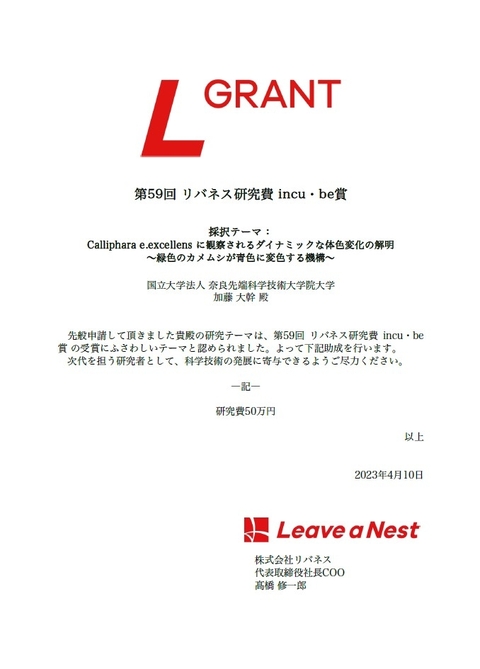 バイオエンジニアリング研究室の加藤大幹さん（博士前期課程2年）が