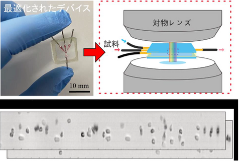 【プレスリリース】高速で流れる数百万個の細胞画像を1秒で撮ることが可能に 超ハイスループットマイクロ流体デバイスの開発 ～創薬、治療法の開発や生命科学研究の質向上に期待～